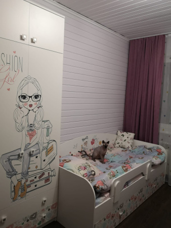 Шкаф гардеробный коллекции Анита  от Династия Kids