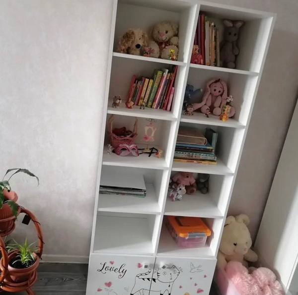 Стеллаж коллекции Анита от Династия Kids