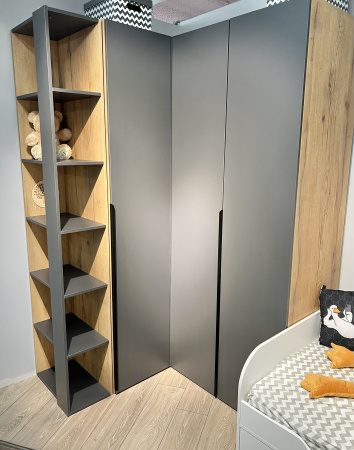 Шкаф 2-х дверный коллекции Брайт (внутри штанга + полки) от Династия Kids